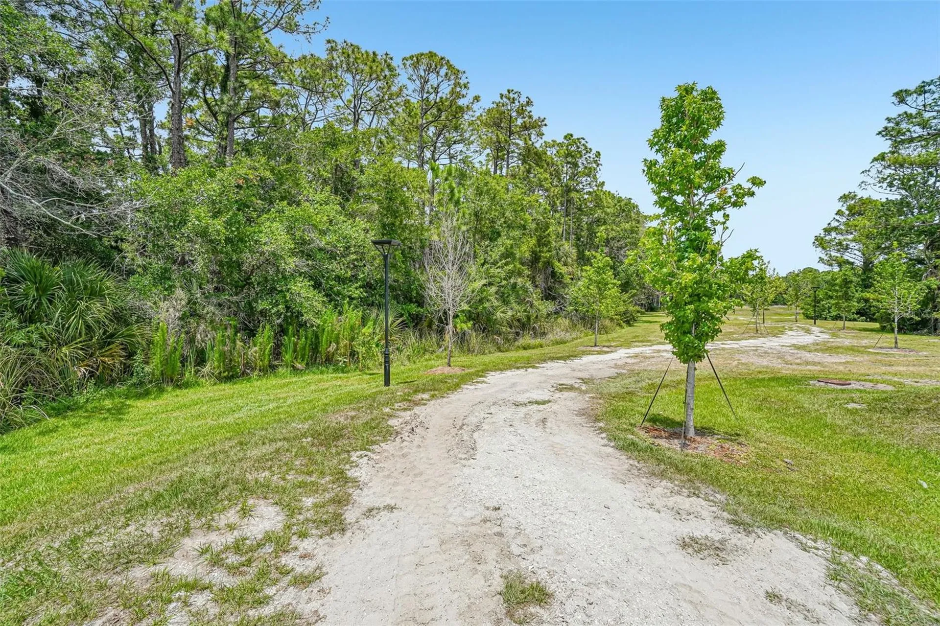 7524 Deer Valley Circle Tampa FL 33635