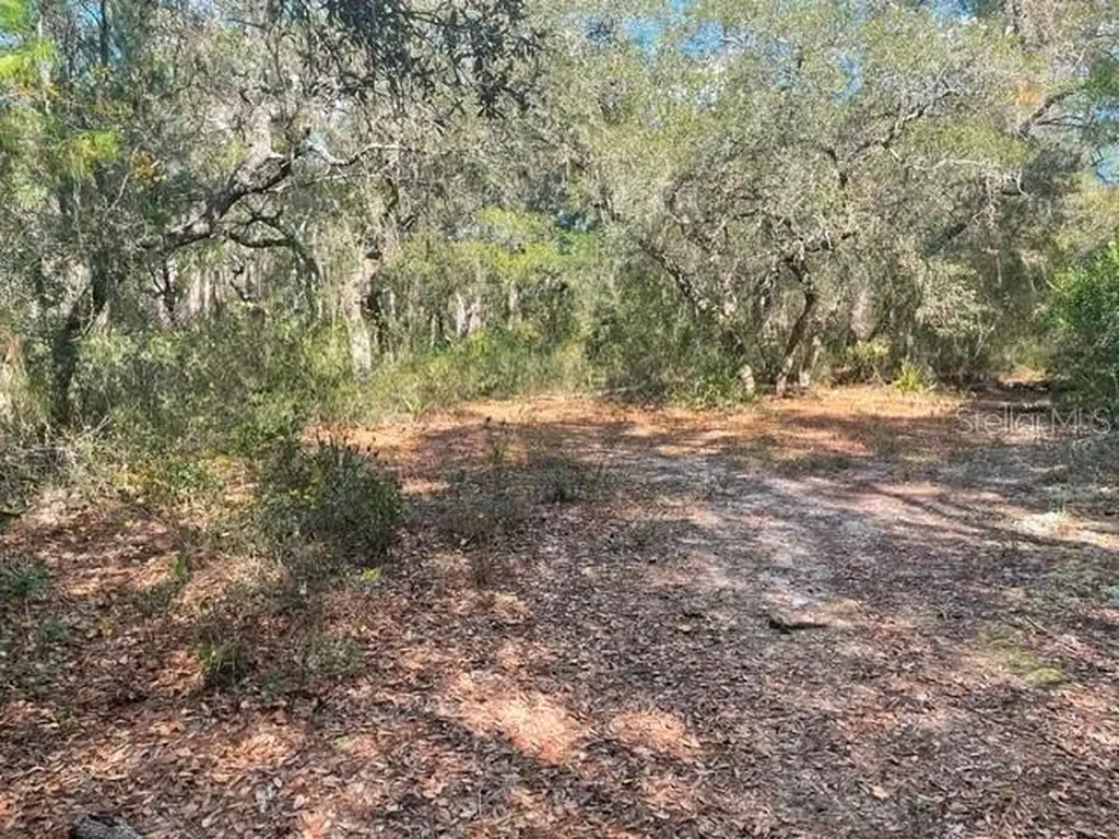 9345 SE 195th Avenue Ocklawaha FL 32179