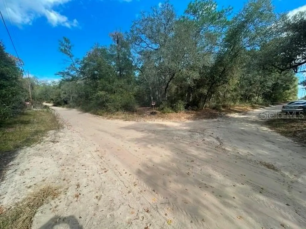 9345 SE 195th Avenue Ocklawaha FL 32179