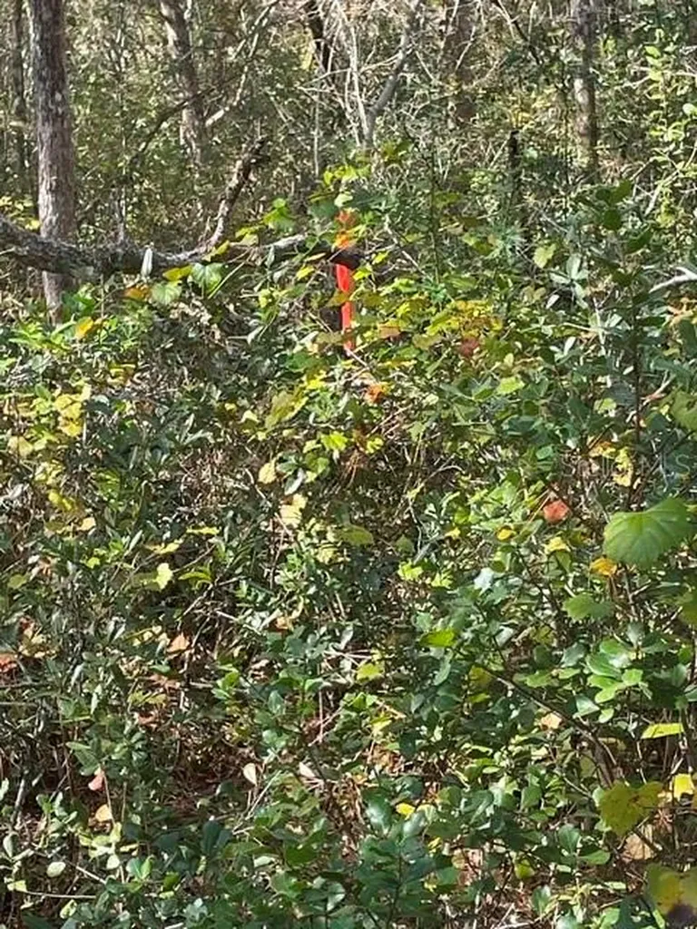9345 SE 195th Avenue Ocklawaha FL 32179