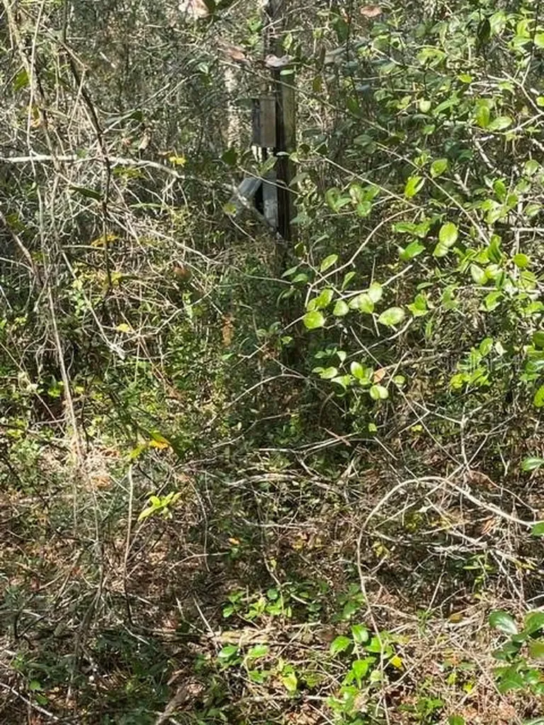 9345 SE 195th Avenue Ocklawaha FL 32179