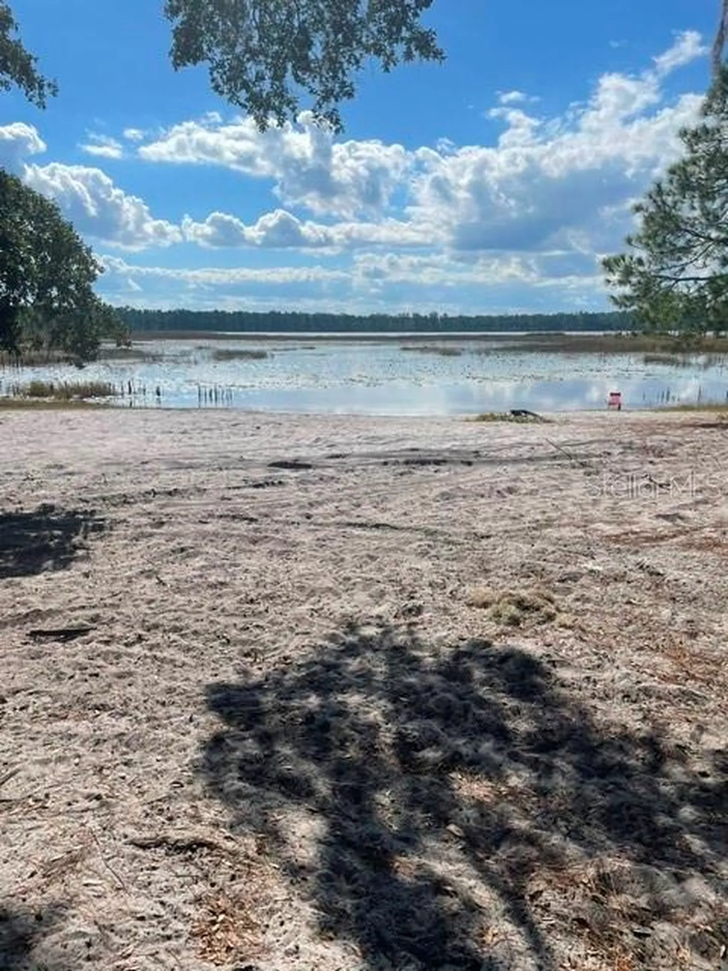 9345 SE 195th Avenue Ocklawaha FL 32179