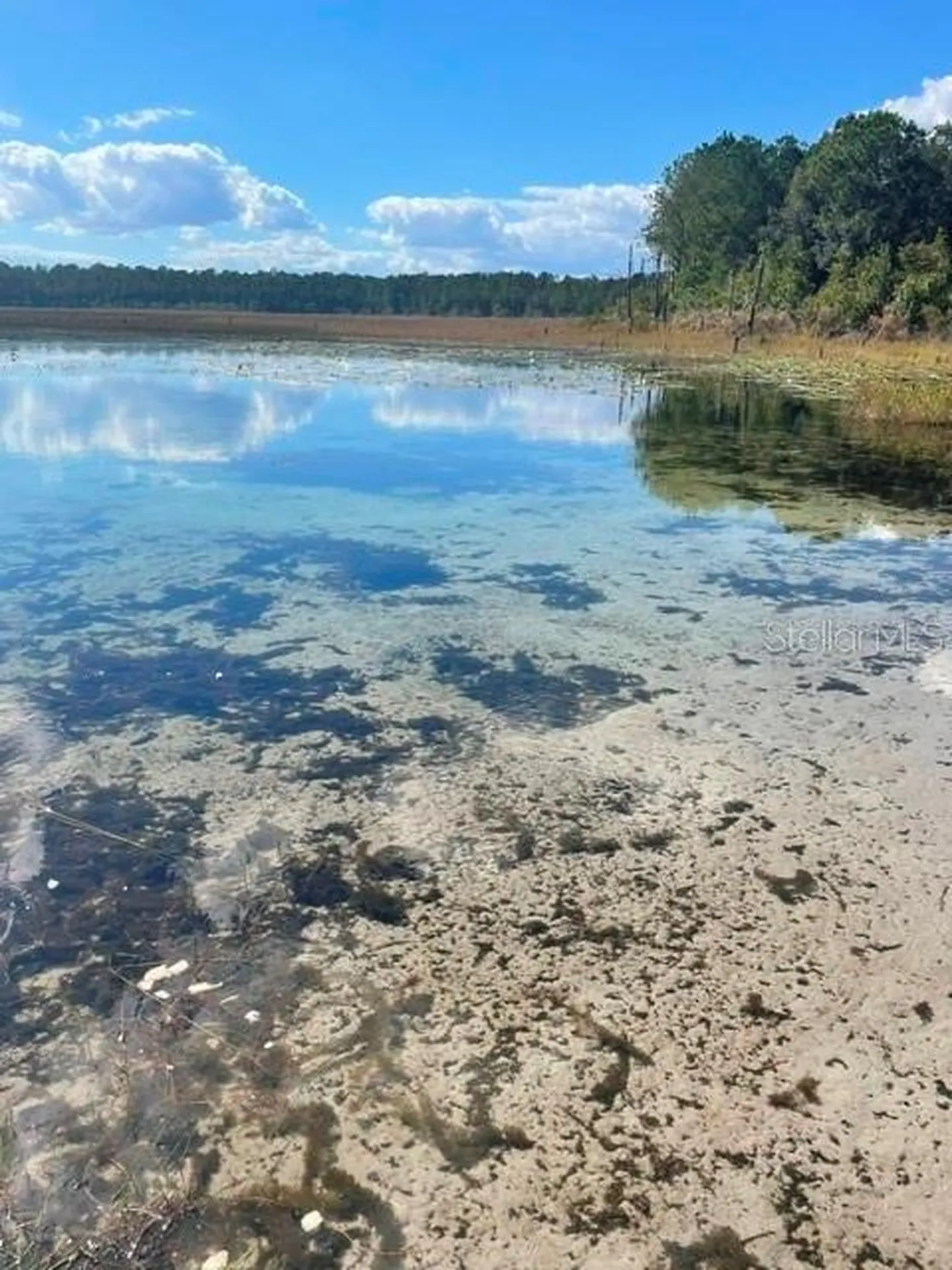 9345 SE 195th Avenue Ocklawaha FL 32179