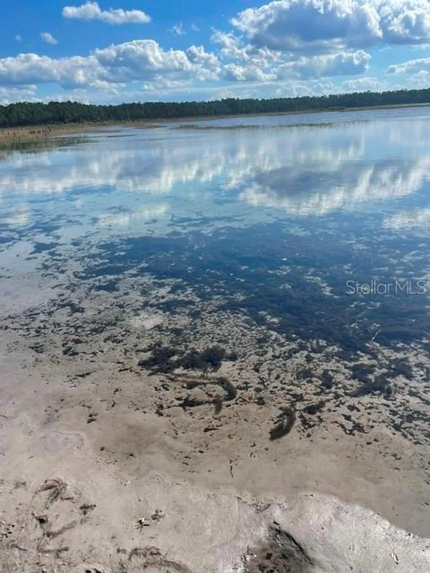 9345 SE 195th Avenue Ocklawaha FL 32179