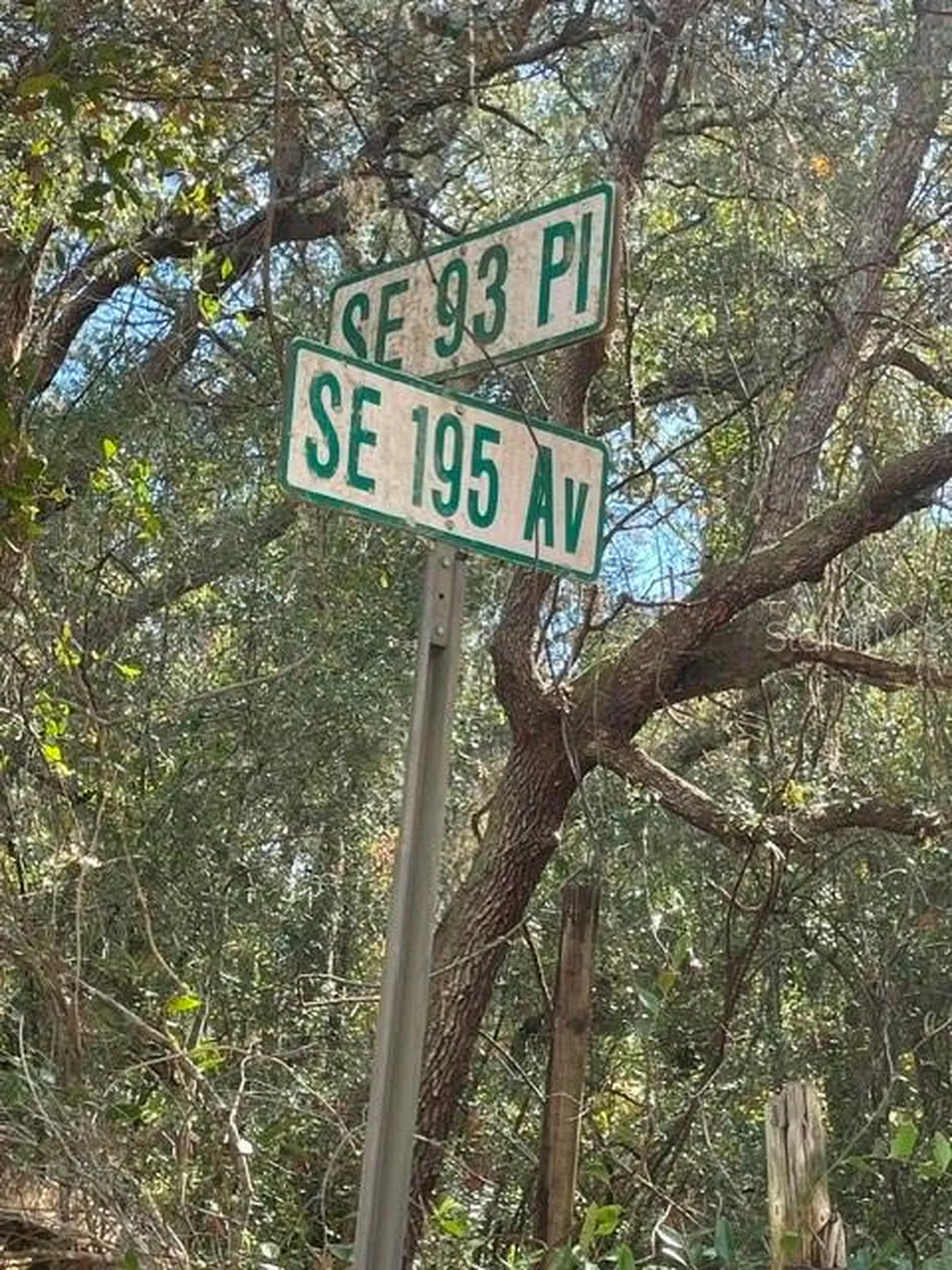 9345 SE 195th Avenue Ocklawaha FL 32179