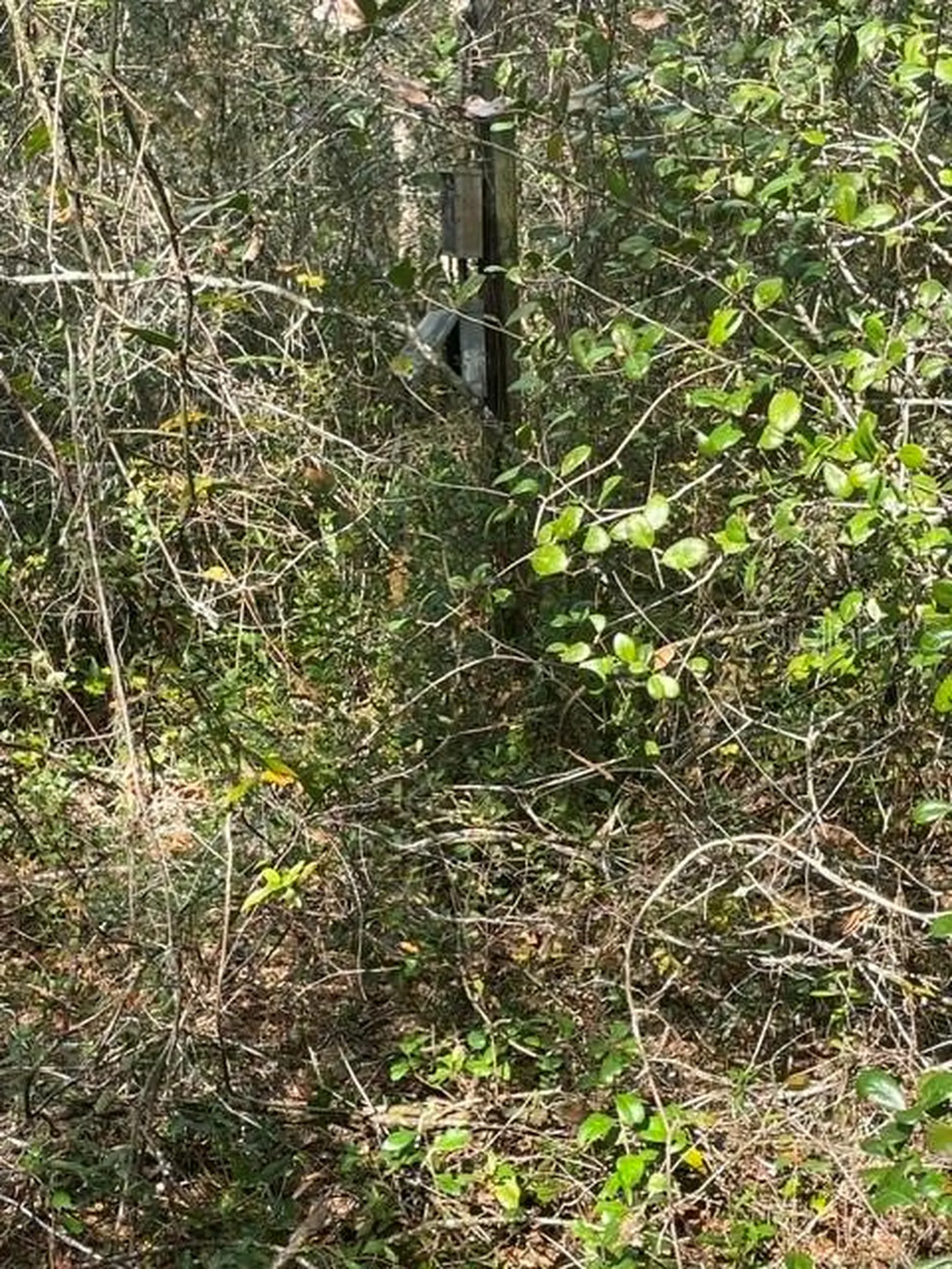 9345 SE 195th Avenue Ocklawaha FL 32179