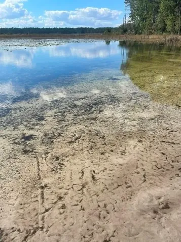 9345 SE 195th Avenue Ocklawaha FL 32179