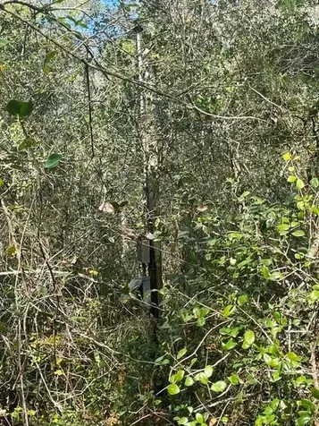 9345 SE 195th Avenue Ocklawaha FL 32179