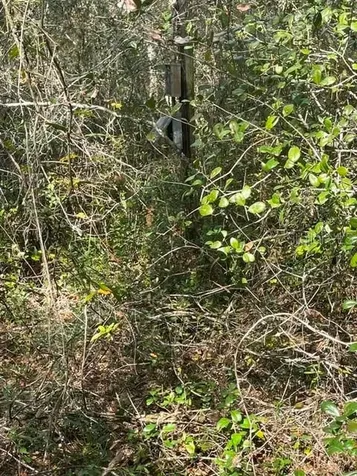 9345 SE 195th Avenue Ocklawaha FL 32179