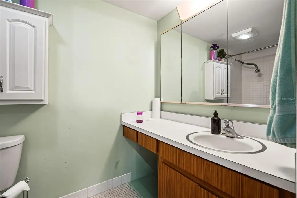 4138 Pinelake Lane Tampa FL 33618