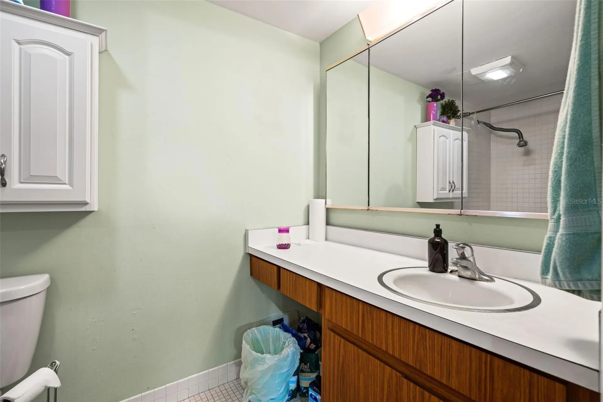 4138 Pinelake Lane Tampa FL 33618