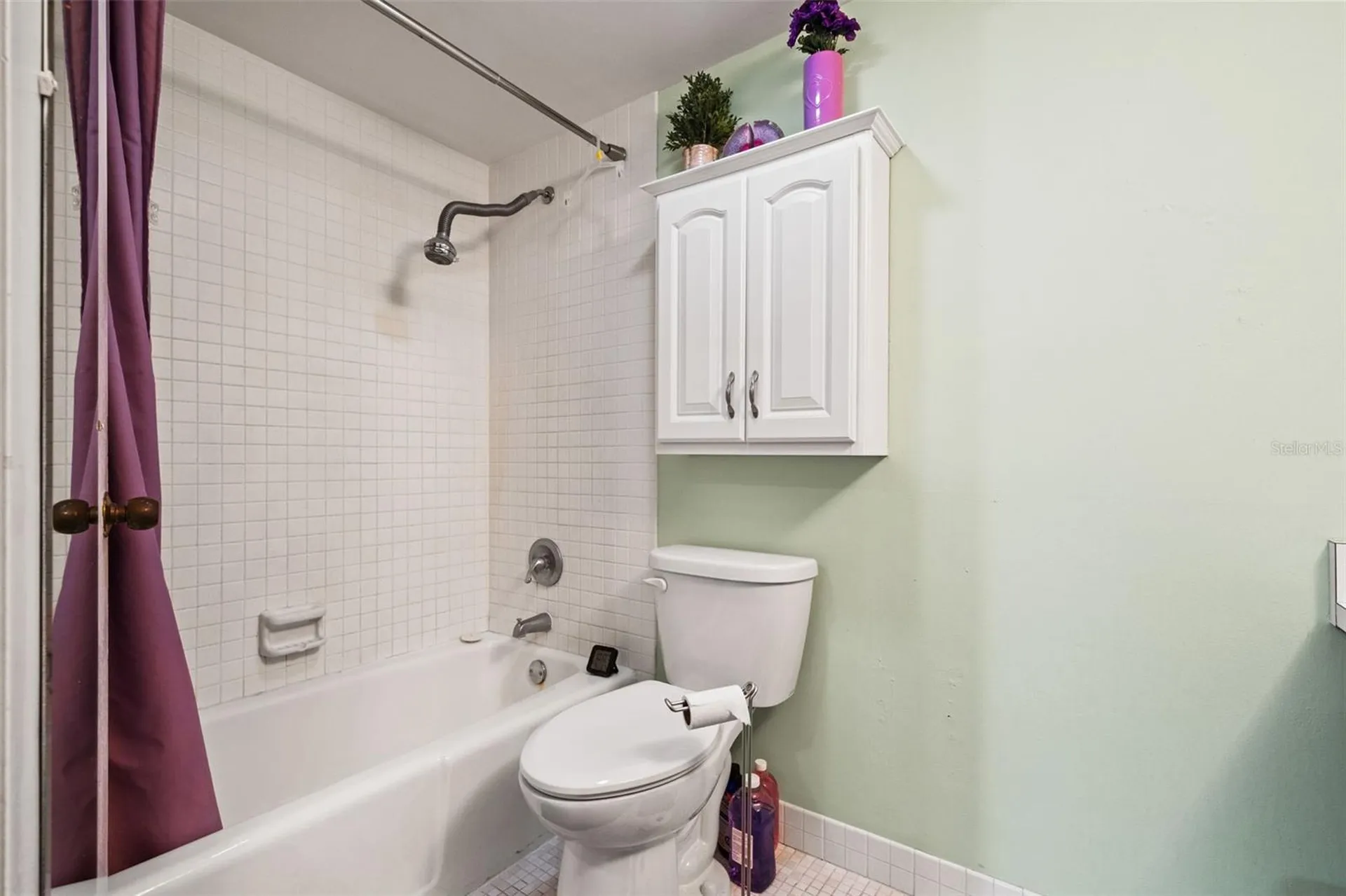 4138 Pinelake Lane Tampa FL 33618