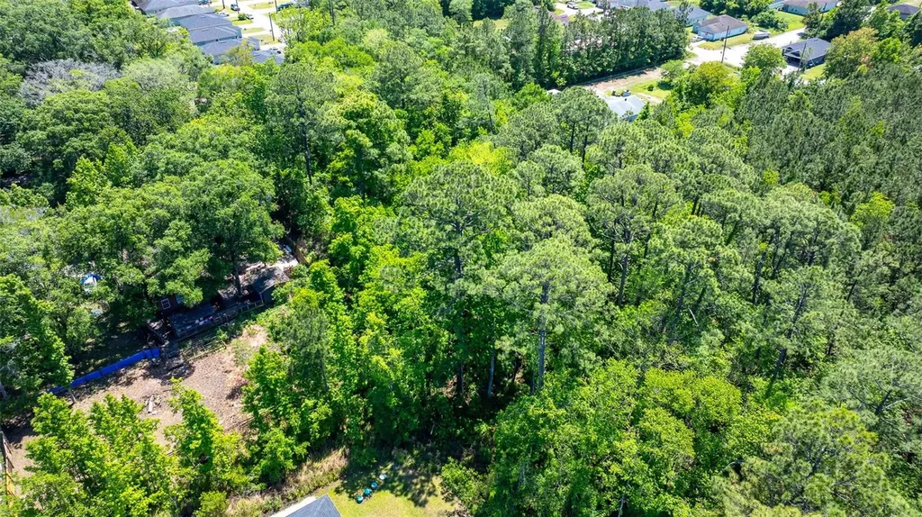 8523 Hewitt Street Jacksonville FL 32244