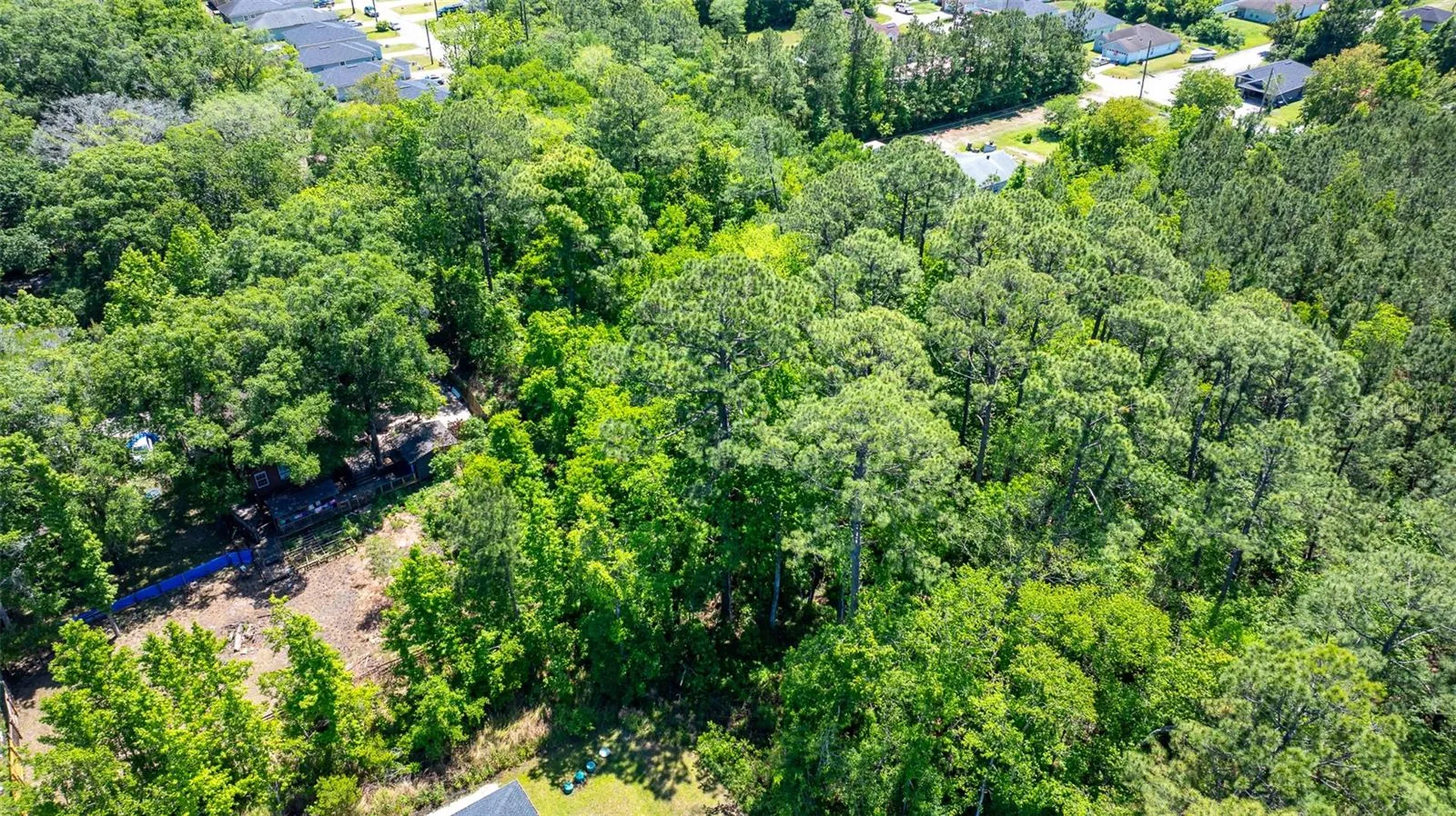 8523 Hewitt Street Jacksonville FL 32244