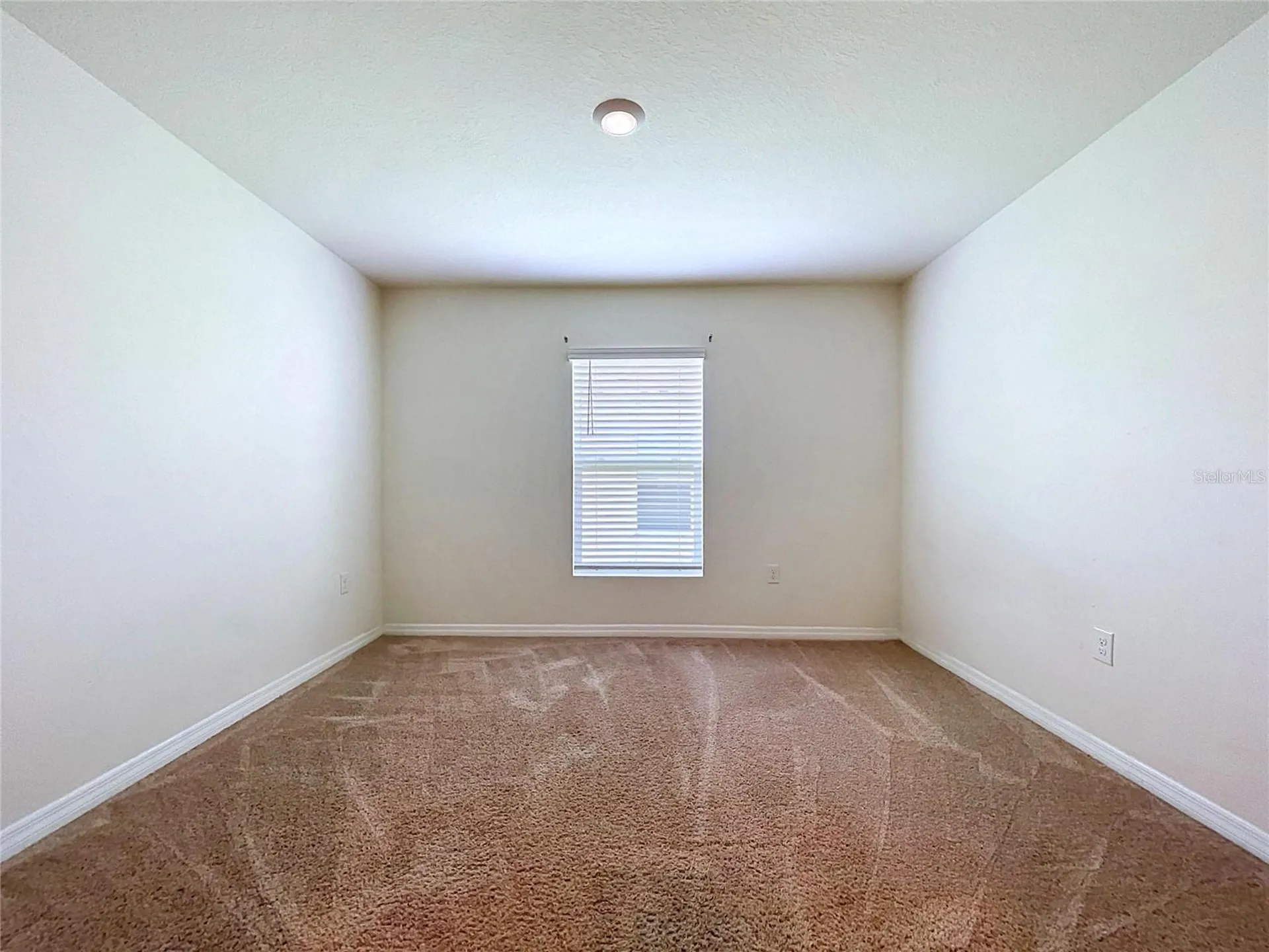 7804 Davie Ray Drive Zephyrhills FL 33540