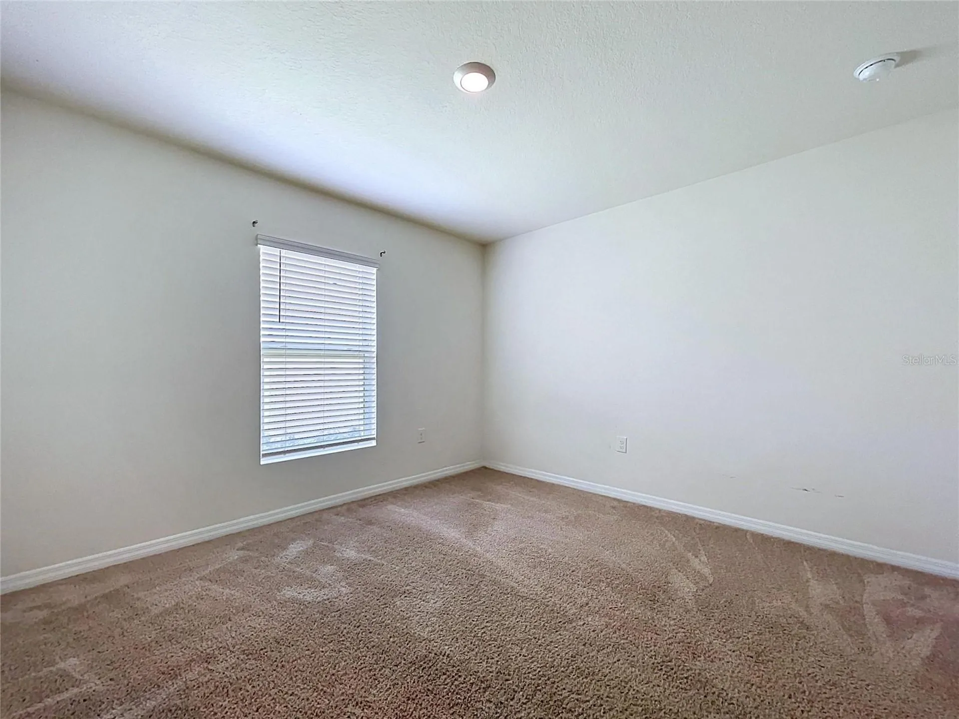 7804 Davie Ray Drive Zephyrhills FL 33540