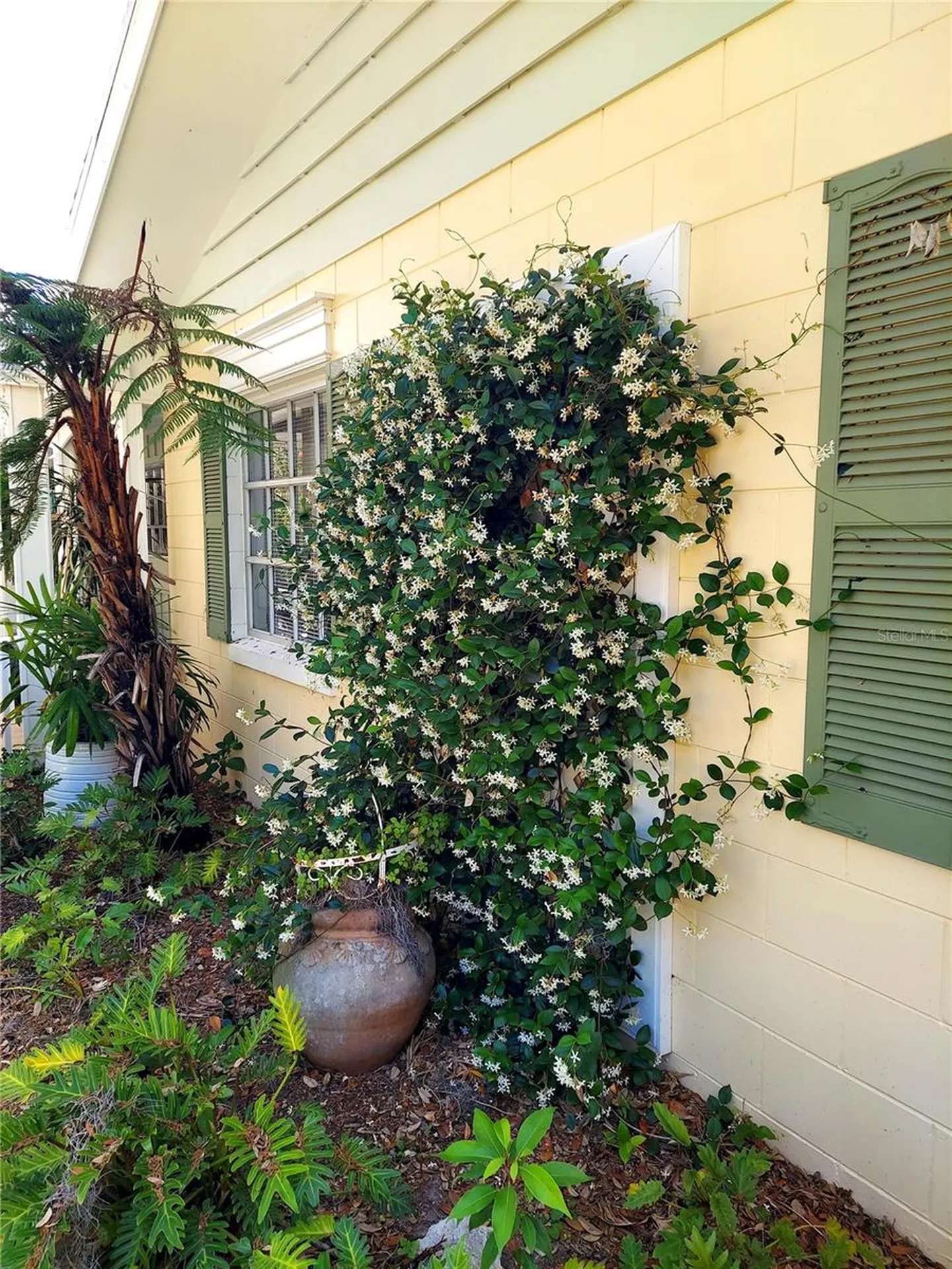 2308 Overlook Drive Mount Dora FL 32757