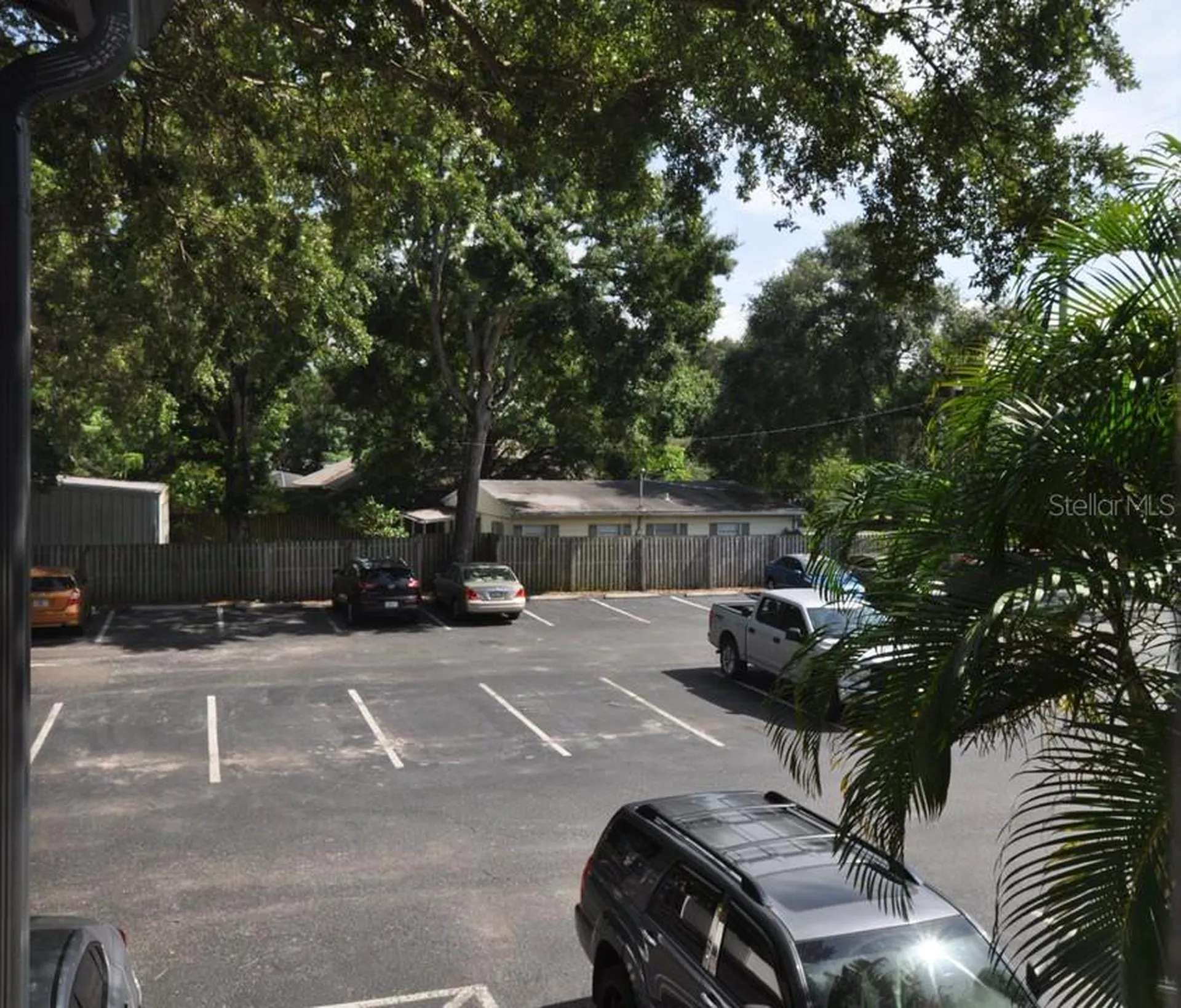 Tampa FL 33629