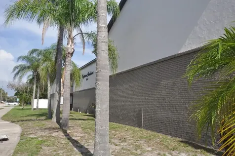Tampa FL 33629