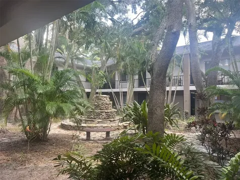 Tampa FL 33629