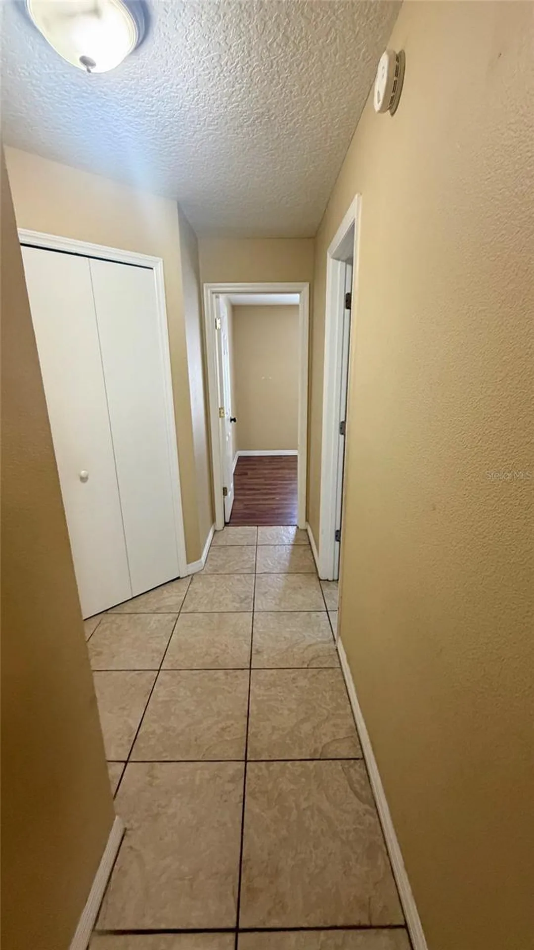 37 Hollow Branch Road Apopka FL 32703
