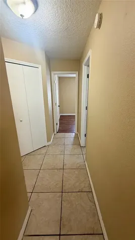 37 Hollow Branch Road Apopka FL 32703