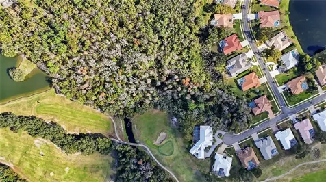 466 Tall Oak Trail Tarpon Springs FL 34688