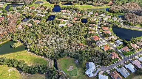 466 Tall Oak Trail Tarpon Springs FL 34688