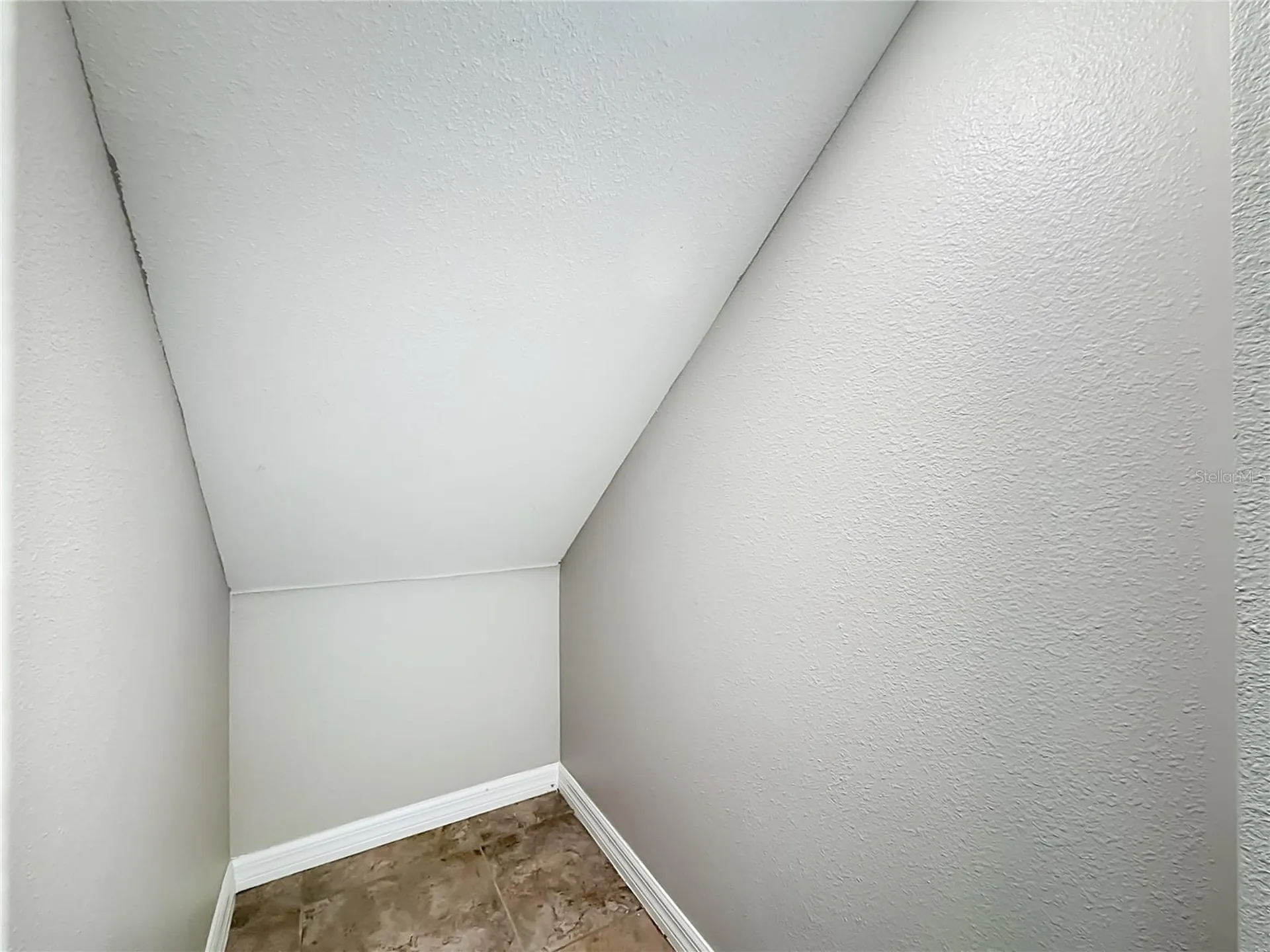 7405 Evening Primrose Court Tampa FL 33619