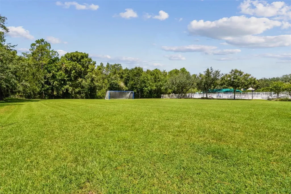5401 Lookout Pass Wesley Chapel FL 33544