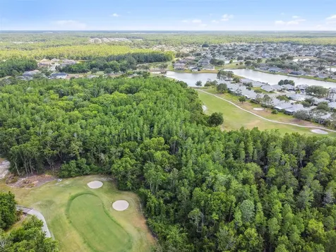 5401 Lookout Pass Wesley Chapel FL 33544