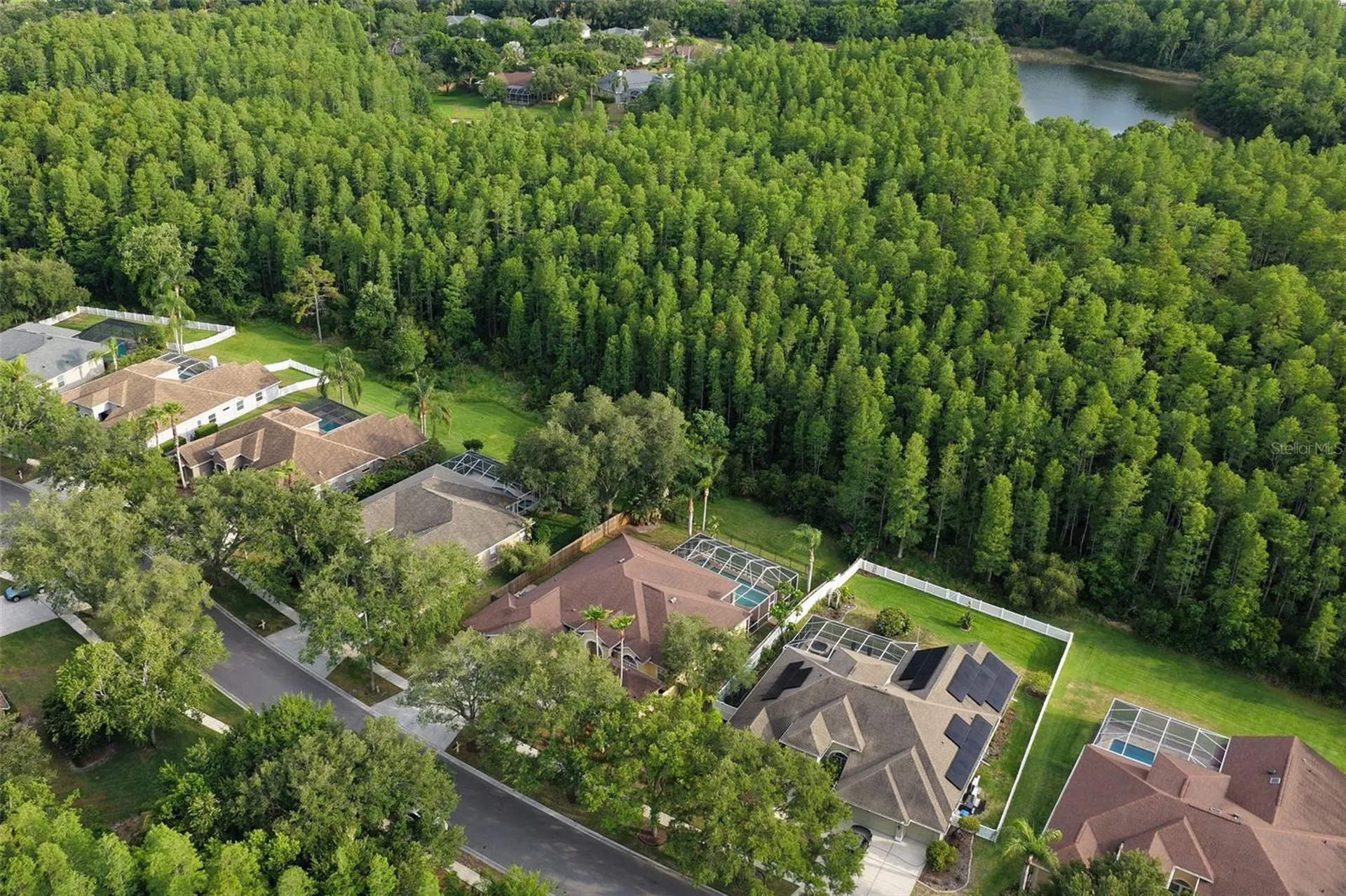 5306 Reflections Boulevard Lutz FL 33558