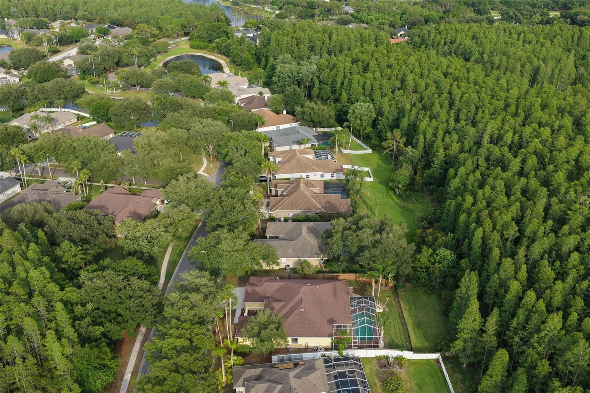 5306 Reflections Boulevard Lutz FL 33558