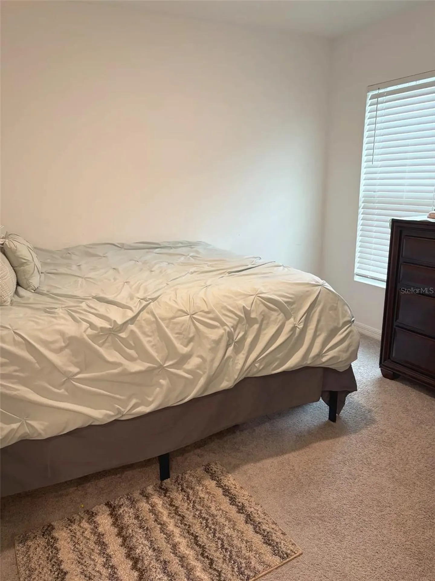 37377 Angel Wings Avenue Zephyrhills FL 33541