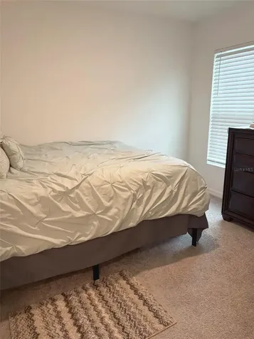 37377 Angel Wings Avenue Zephyrhills FL 33541