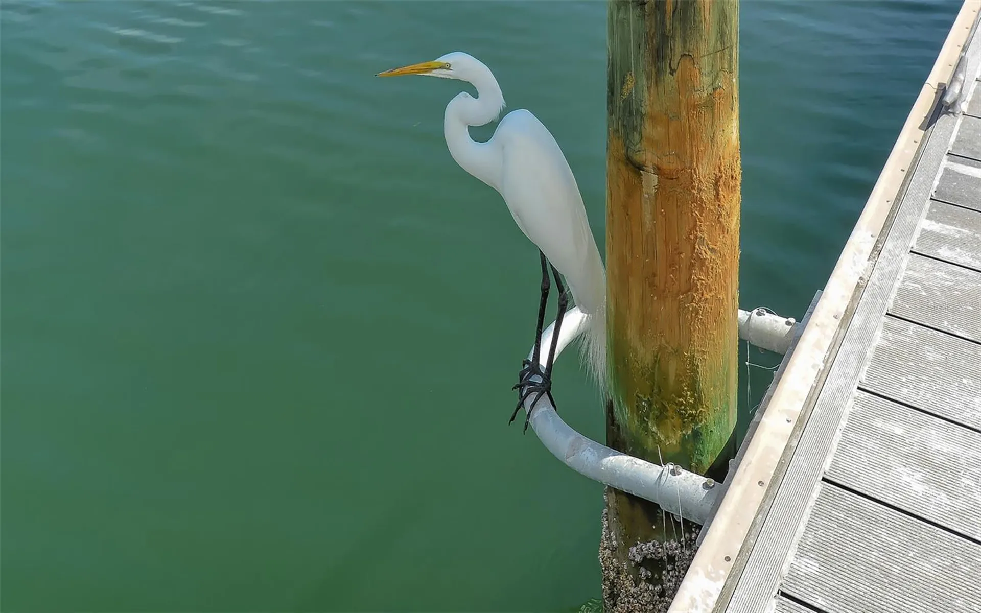 711 Spanish Drive S Longboat Key FL 34228