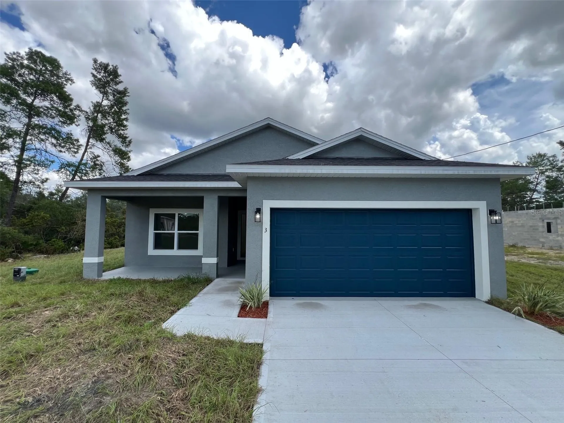 3 Fisher Place Drive Ocklawaha FL 32179