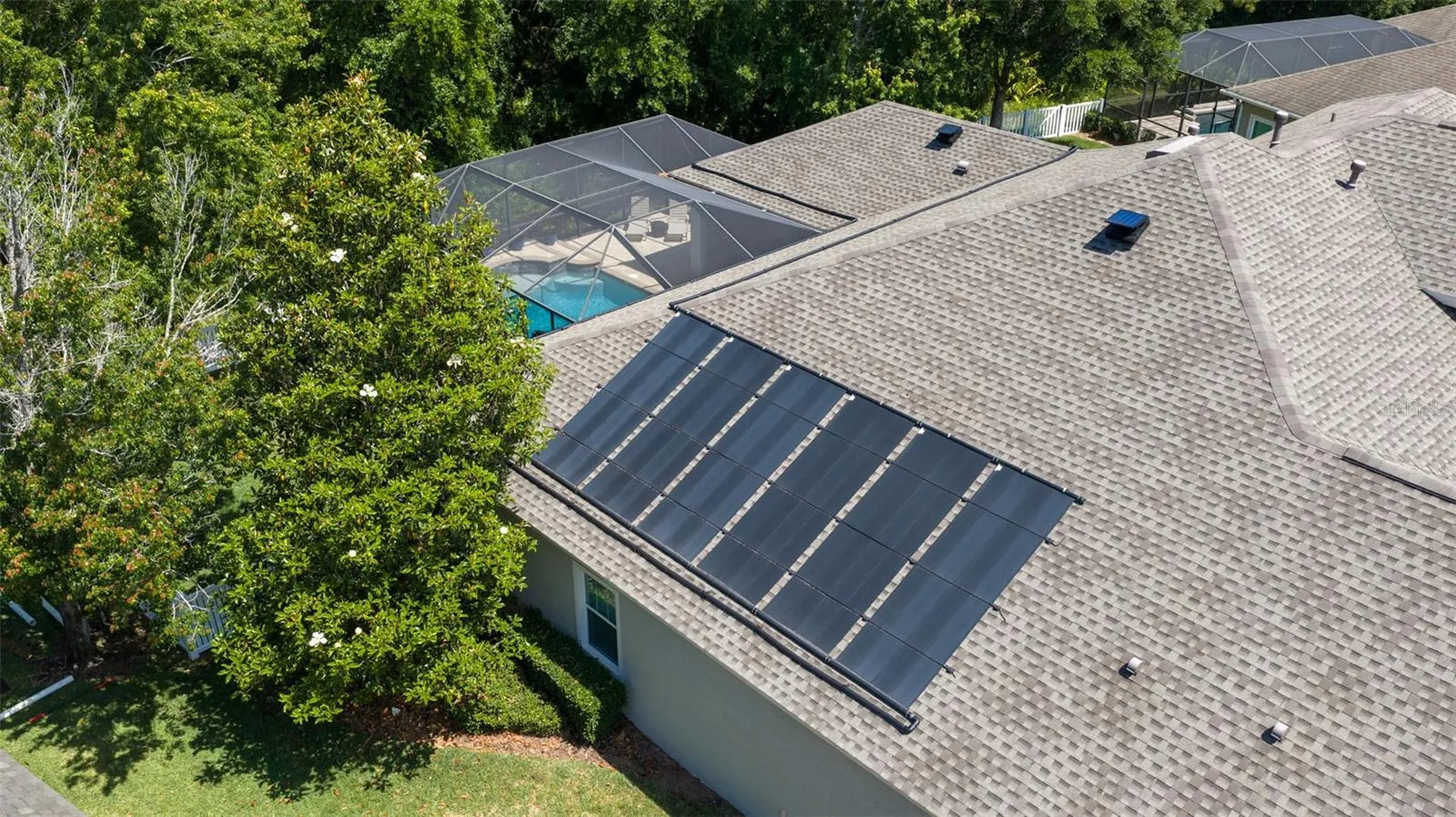 20214 Oak Thorn Way Tampa FL 33647