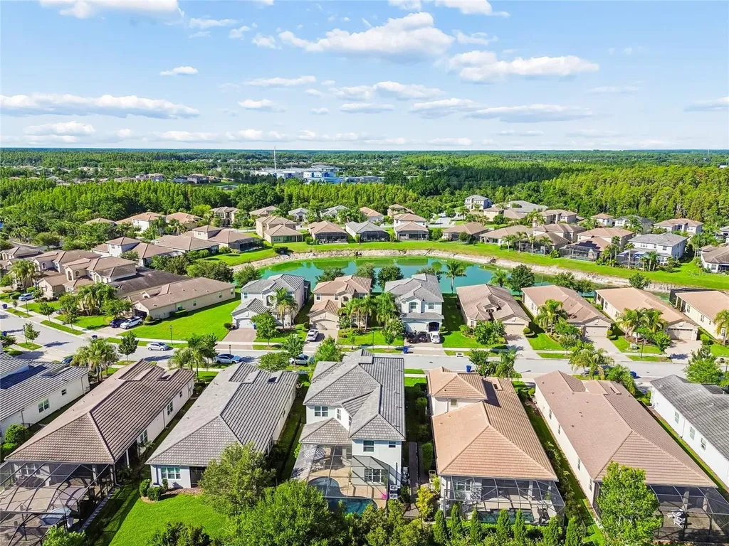 30229 Southernwood Court Wesley Chapel FL 33543