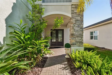 30229 Southernwood Court Wesley Chapel FL 33543