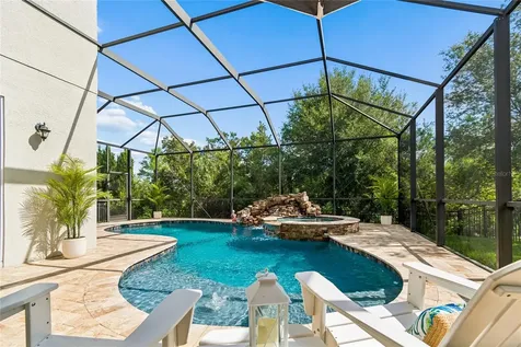 30229 Southernwood Court Wesley Chapel FL 33543