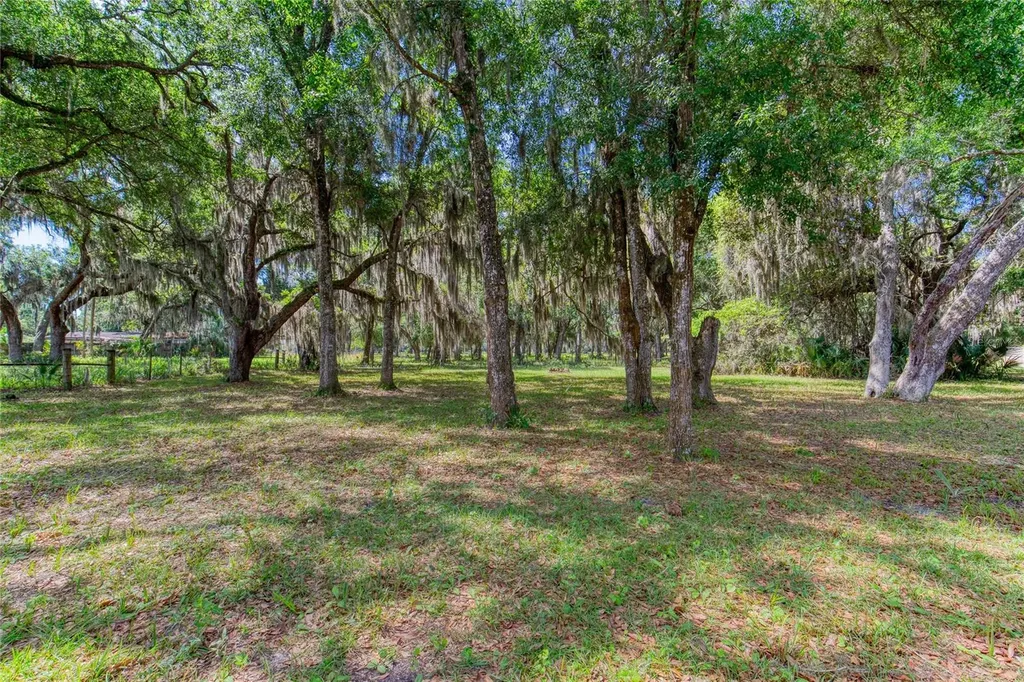 15 Maple Street Flagler Beach FL 32136