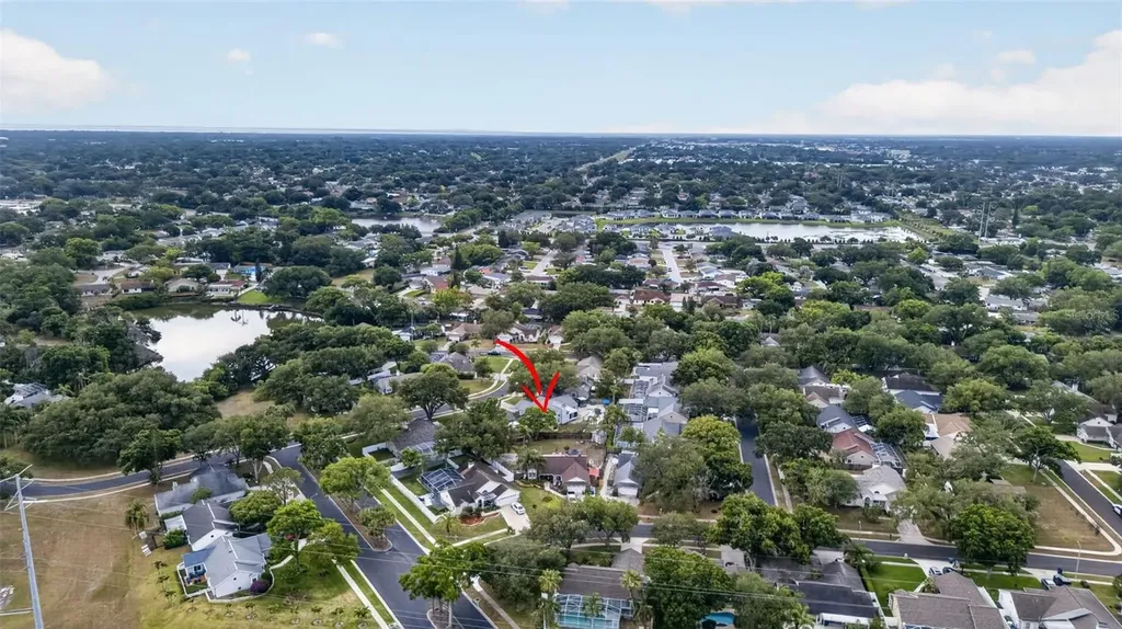 962 Edgehill Drive Palm Harbor FL 34684