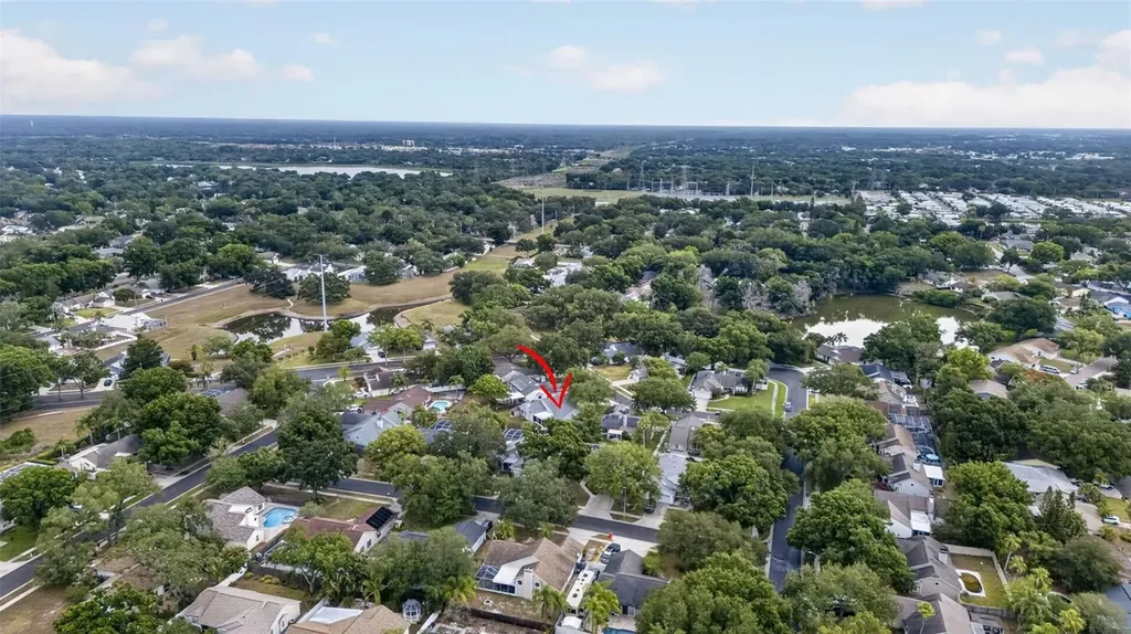 962 Edgehill Drive Palm Harbor FL 34684