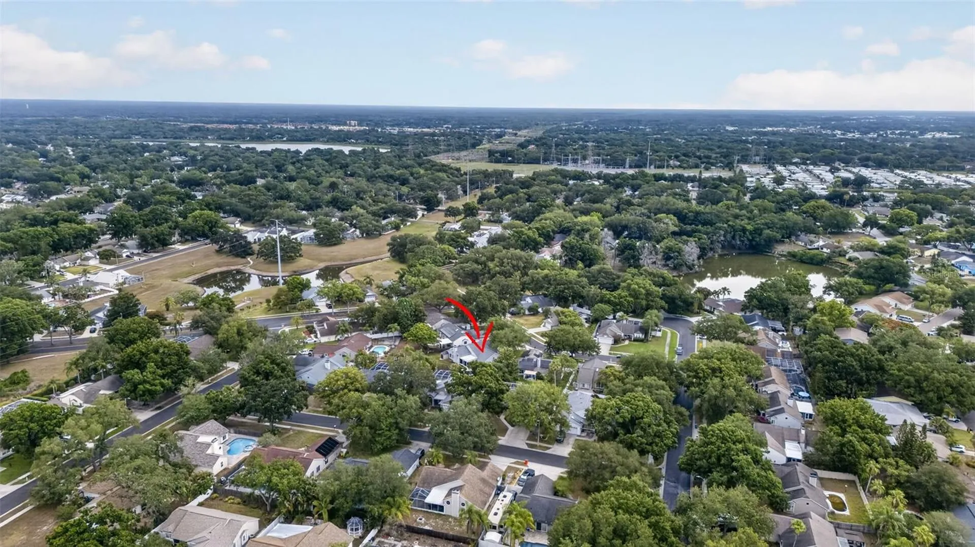 962 Edgehill Drive Palm Harbor FL 34684