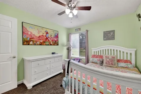 962 Edgehill Drive Palm Harbor FL 34684