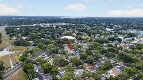 962 Edgehill Drive Palm Harbor FL 34684