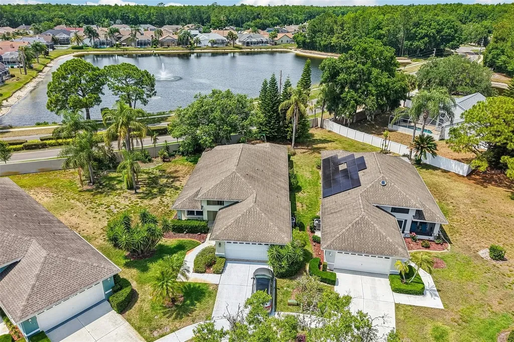 1129 Daleside Lane New Port Richey FL 34655