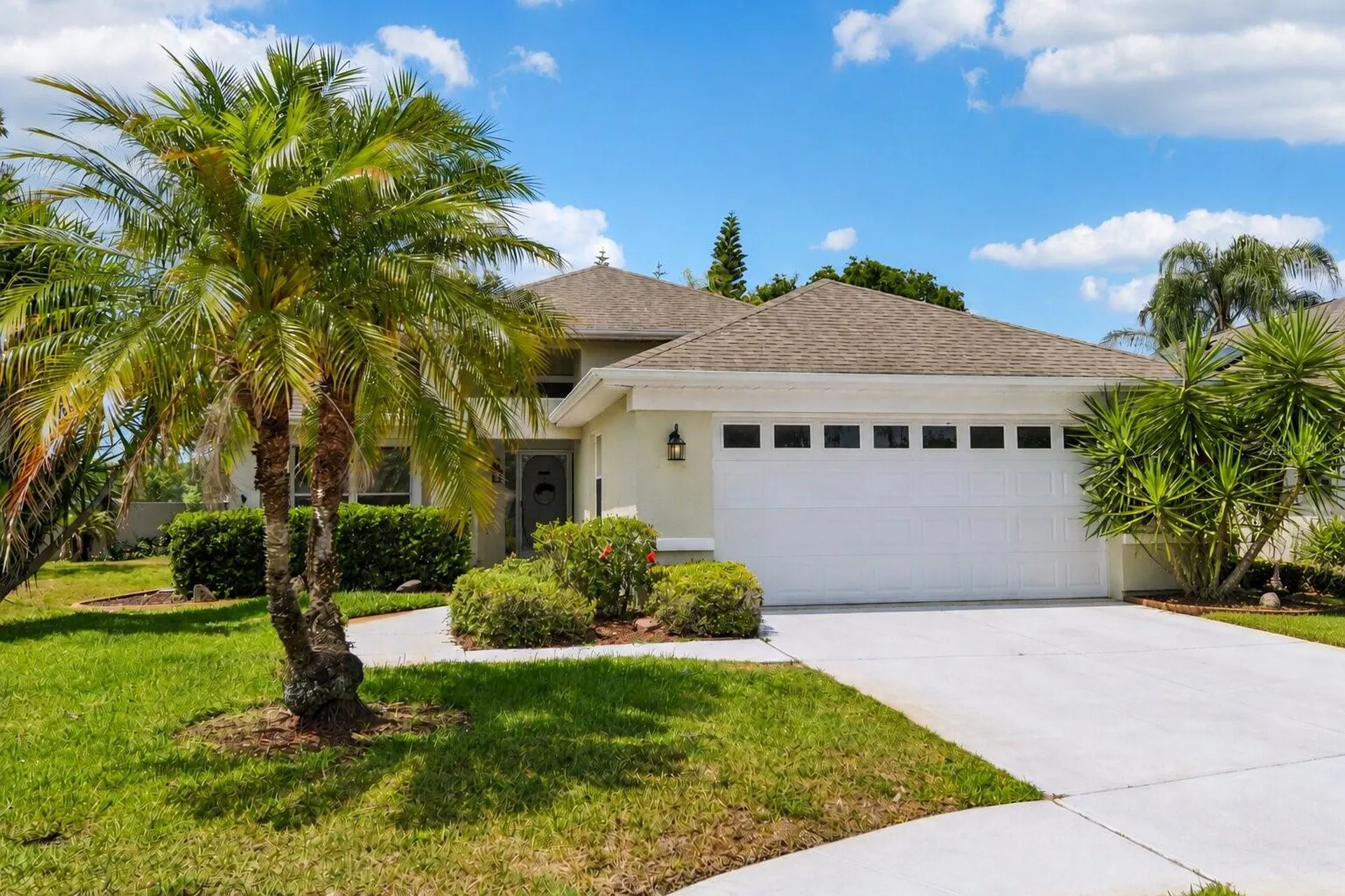 1129 Daleside Lane New Port Richey FL 34655