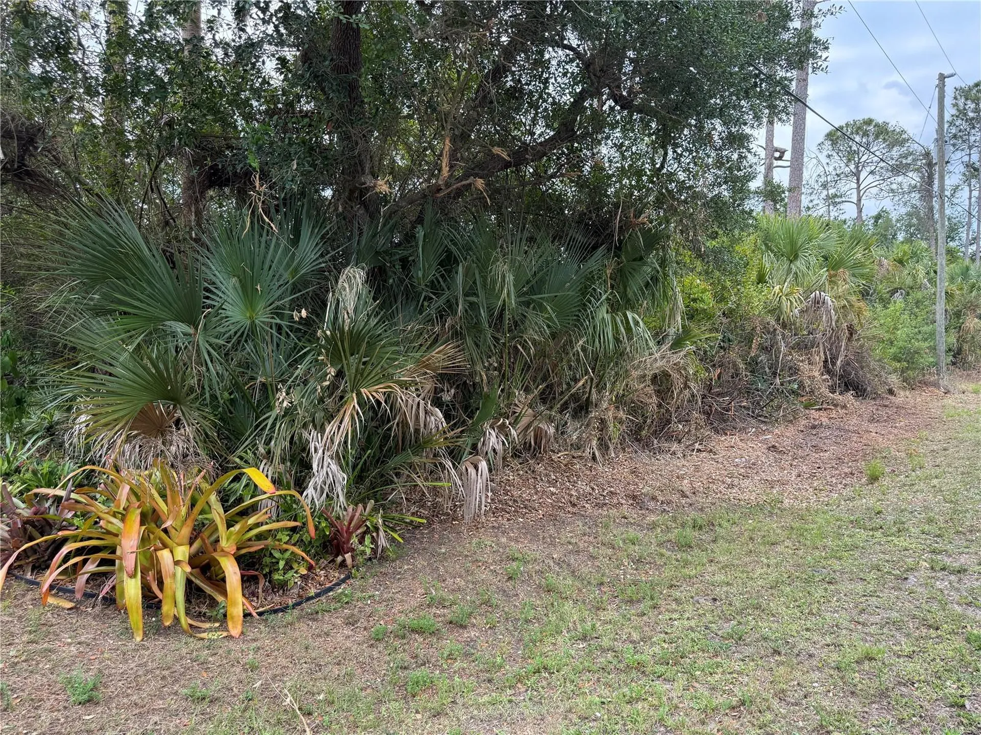 Zuyder Terrace North Port FL 34286